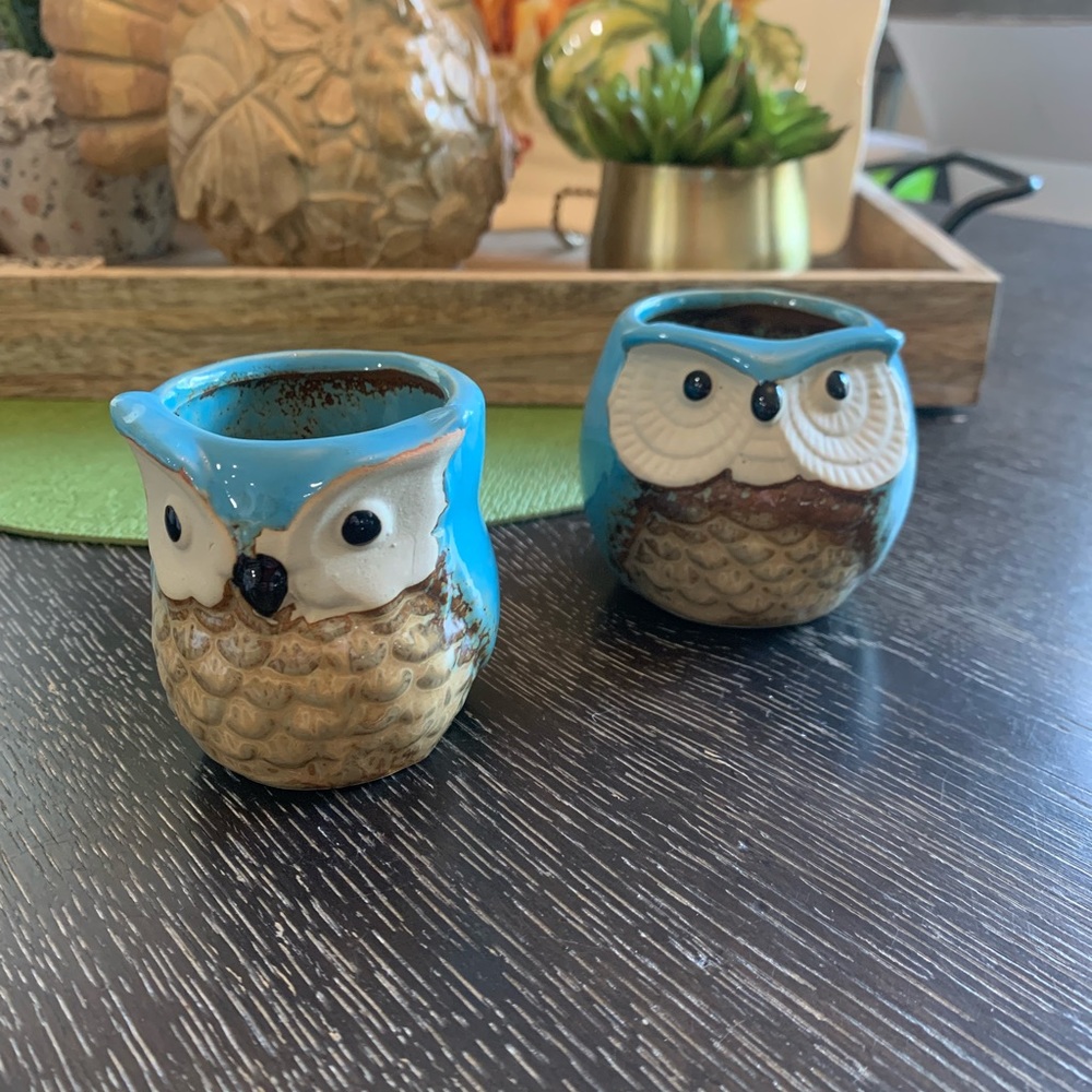Super cute ceramic owl votive/small planters